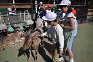 動物公園1